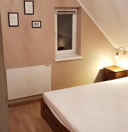 Dzika Konwalia 2 Zieleniec (Klodzko)